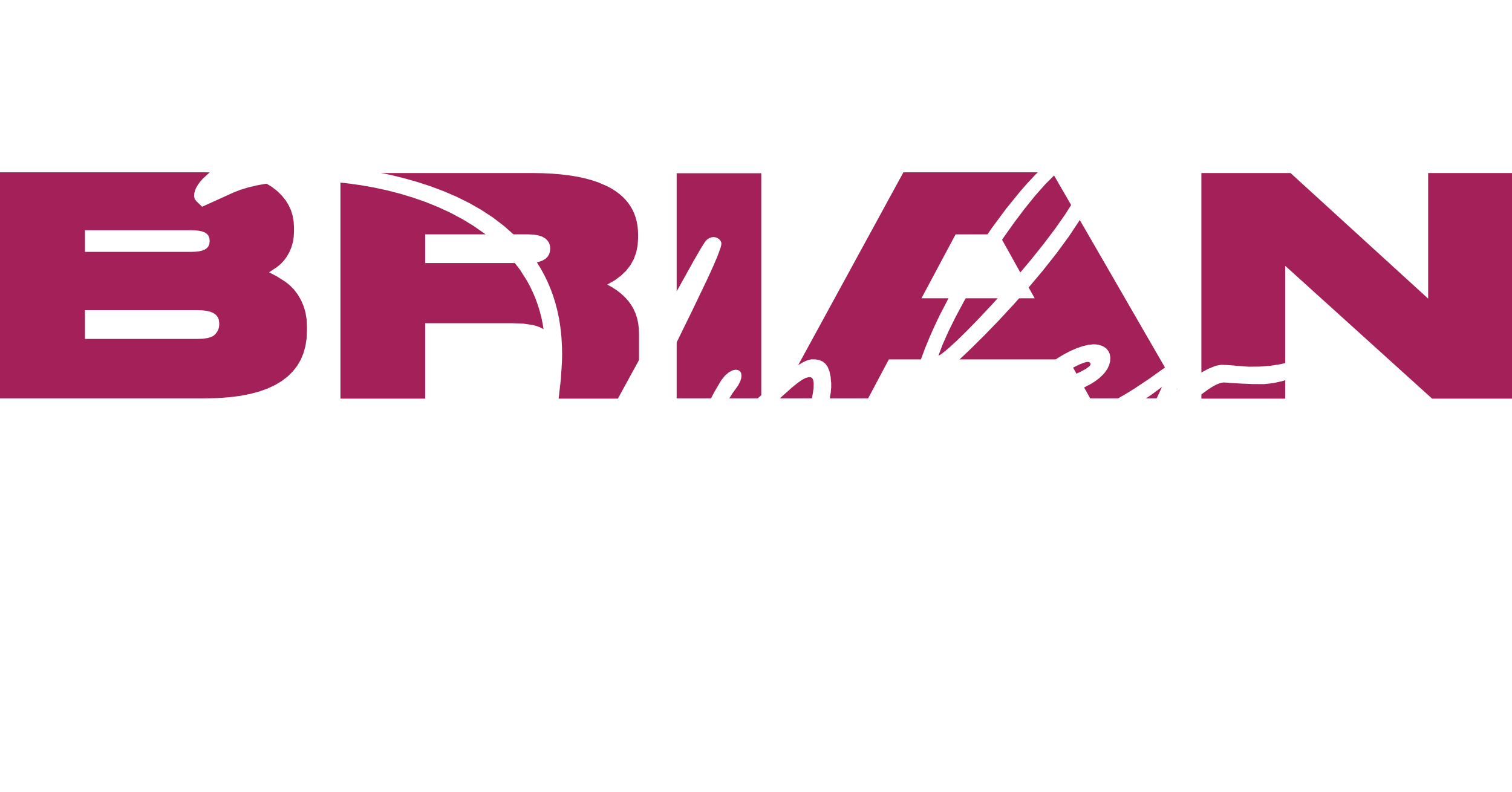 Brian Tyler | Logo