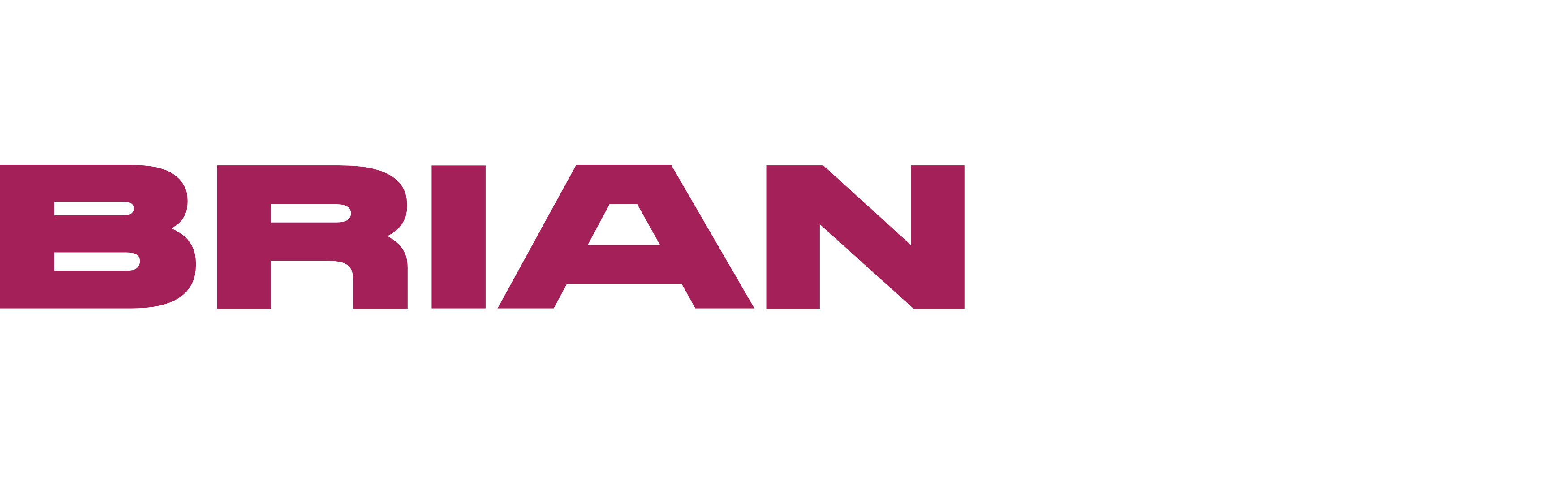 Brian Tyler | Logo