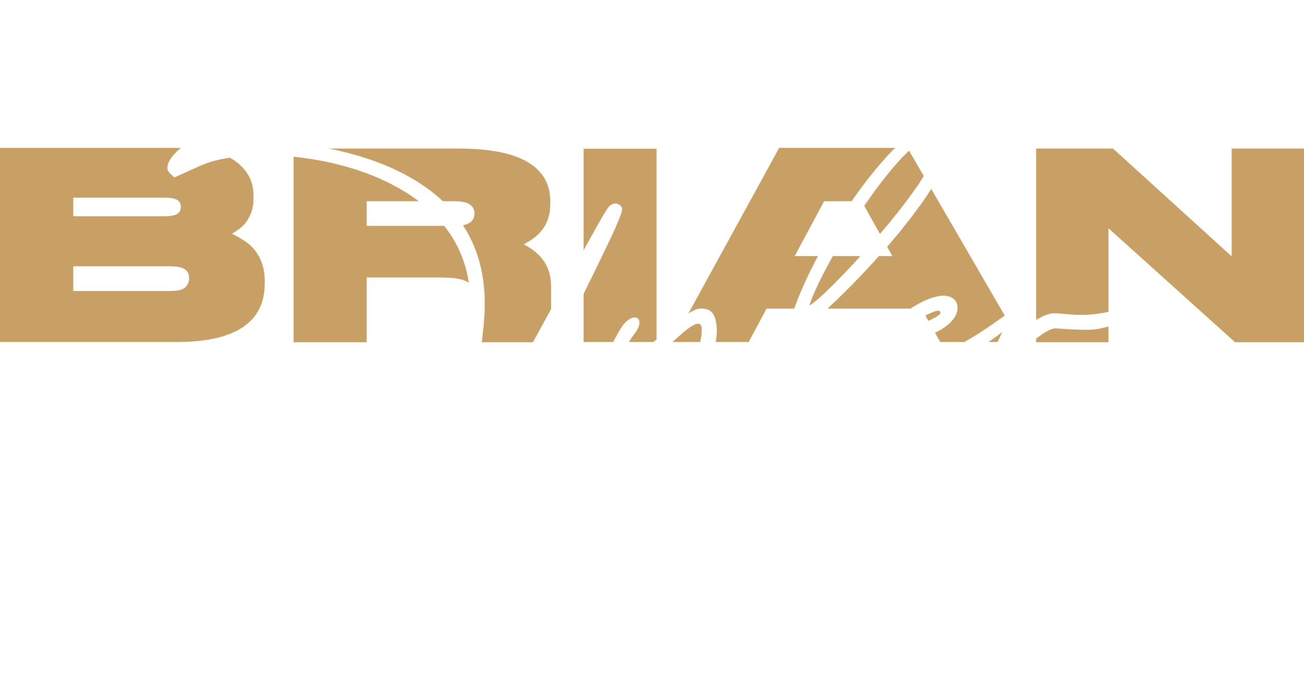 Brian Tyler | Logo